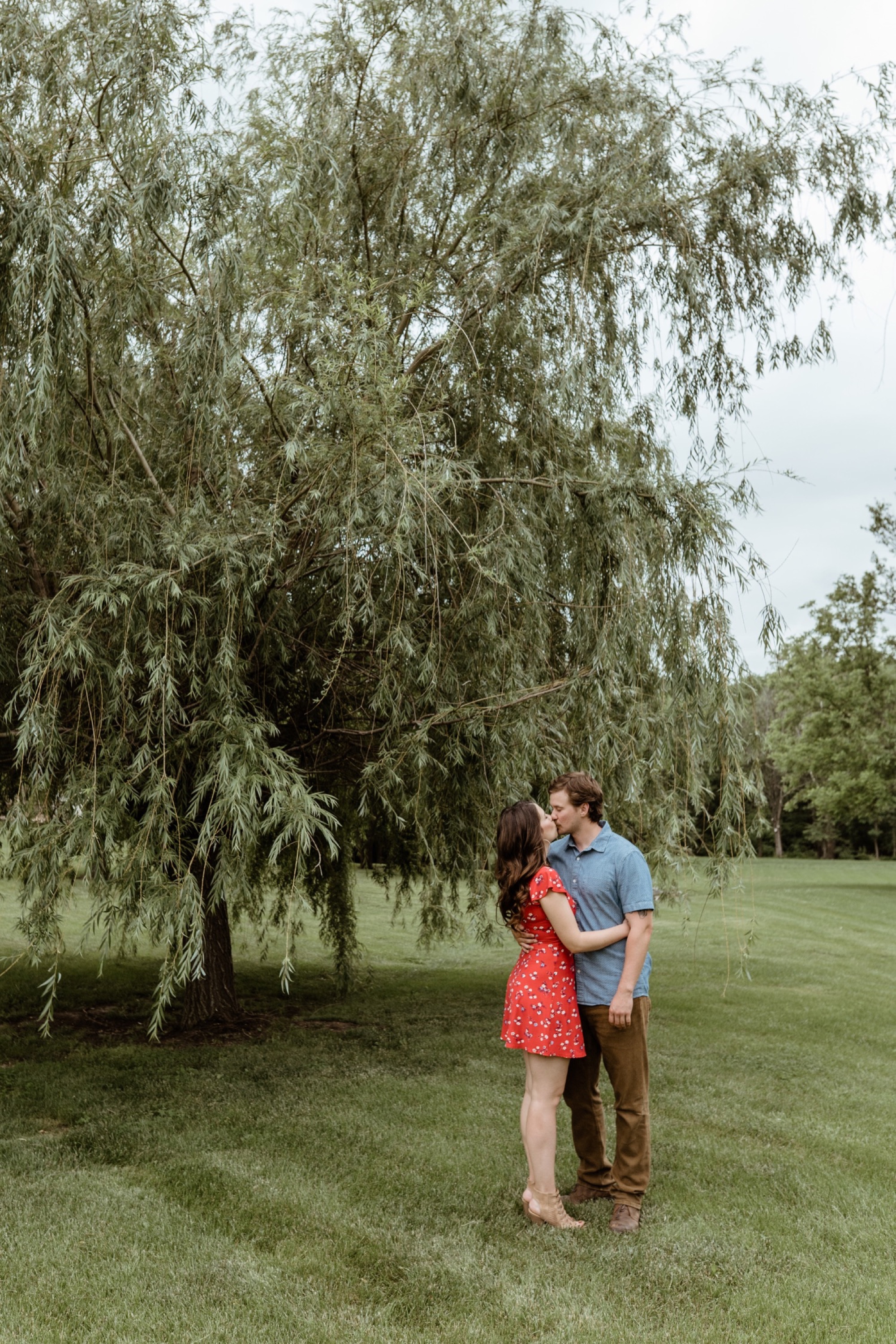 couple kisses underneath weeping willow during their winterset engagement session