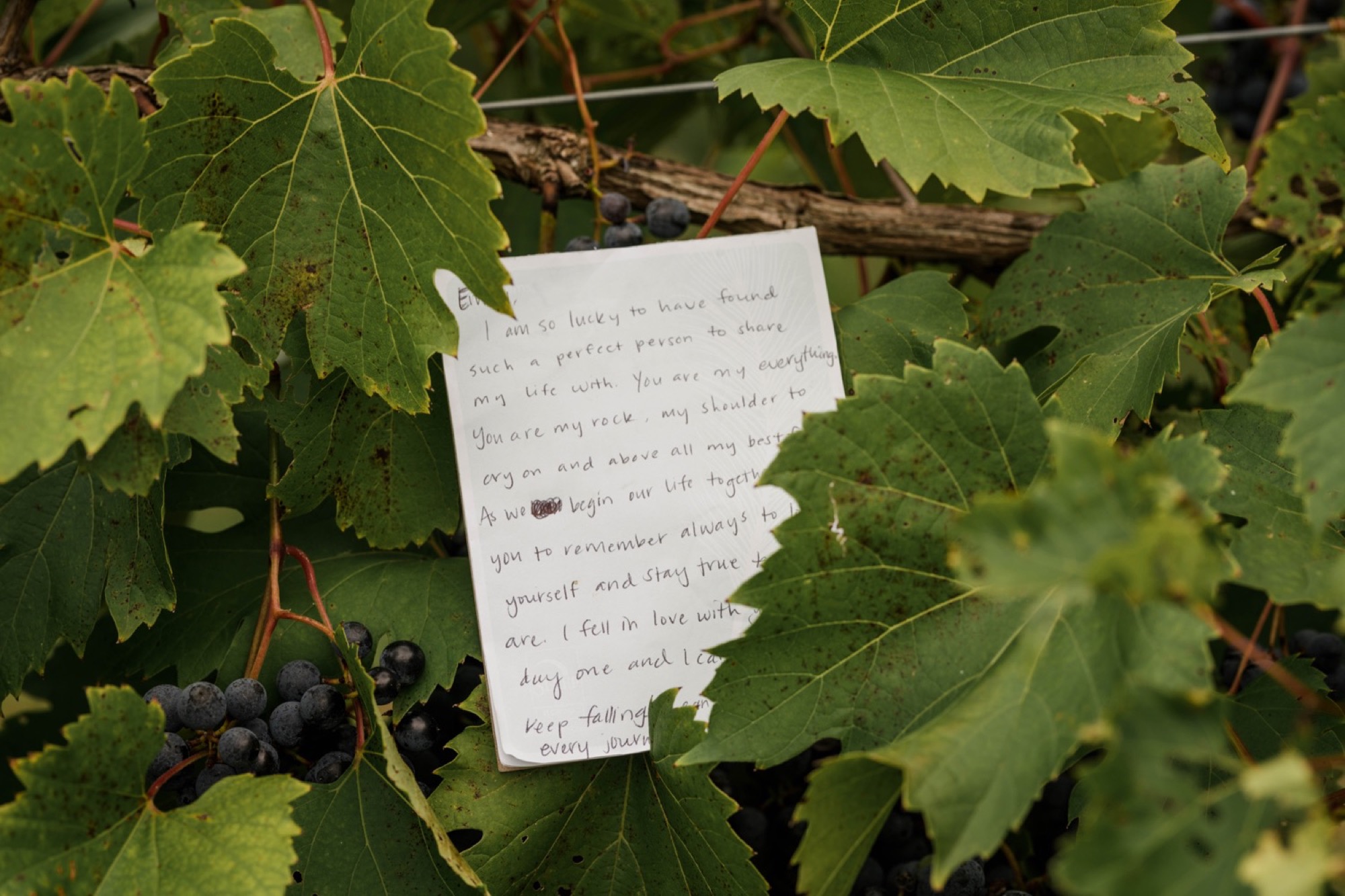 chateau at white oaks bride's letter in vineyard leaves