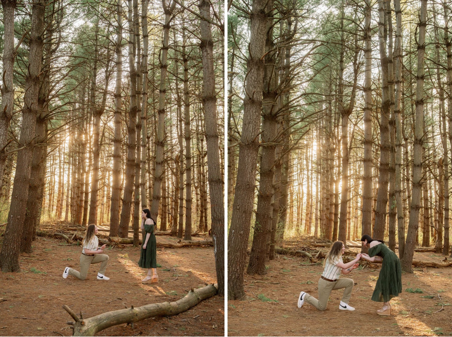 Woman kneels in Burr Oaks Park during surprise proposal at sunsert